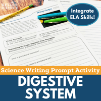 Digestive System Cover