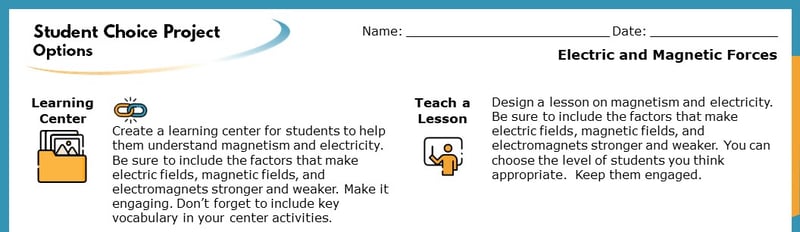 The top section of the Student Choice Project options. The displayed options read "Learning Center" and "Teach a Lesson". Each goes into more detail about how the project will help students learn.