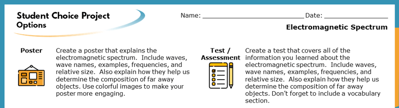 The top section of the Student Choice Project options. The displayed options read "Poster" and "Text/Assessment". Each goes into more detail about how the project will help students learn.