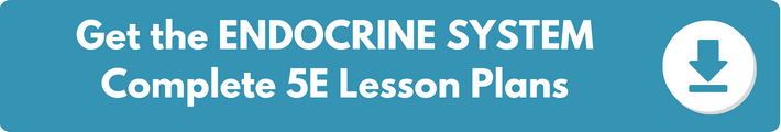 A banner which reads "Get the ENDOCRINE SYSTEM Complete 5E Lesson Plans". 