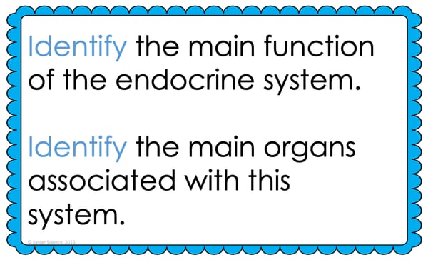 Text reading; “Identify the main function of the endocrine system. Identify the main organs associated with this system.”