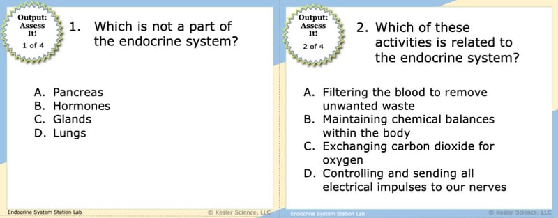 A screenshot of two multiple-choice Assess it! questions. The first asks students "Which is not a part of the endocrine system?". The second asks students "Which of these activities is related to the endocrine system?".