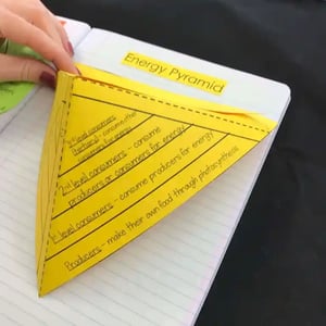 A photo of the INB, cut out and glued into a notebook. This INB is depicts a piece of paper cut so that, when its three sides are held up and placed together, they form a literal pyramid - each of their sides providing more information about how energy pyramids work and what they are.