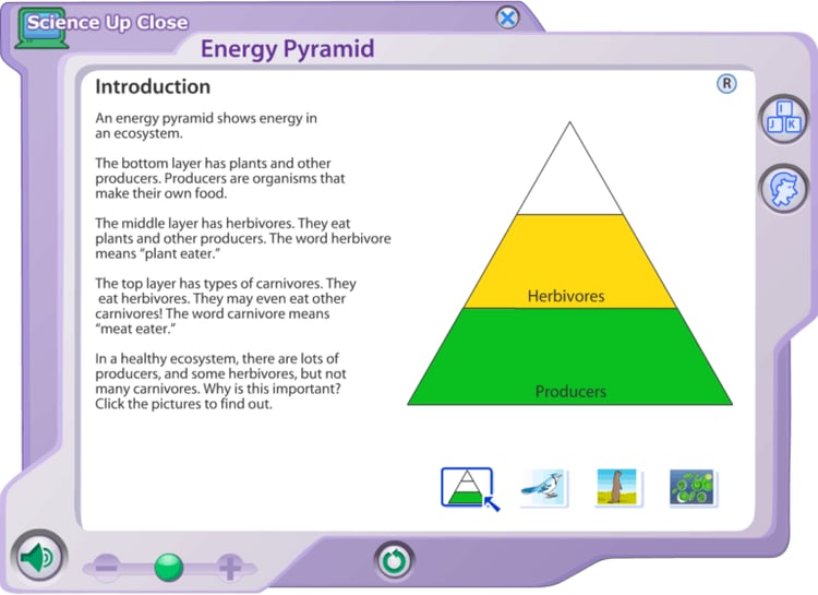 A screenshot of an interactive website. It contains an infographic of an energy pyramid, several other infographics that can be selected, and a blurb of text labaled "Introduction".