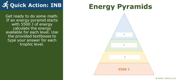 A PowerPoint slide. Its text reads; "Quick Action: INB. Get ready to do some math. If an energy pyramid starts with 5500 J of energy, calculate the energy available for each level (of the energy pyramid). Use the provided textboxes to type your answer for each trophic level.". To the right of these instructions is an energy pyramid, as described in the instructions themselves.