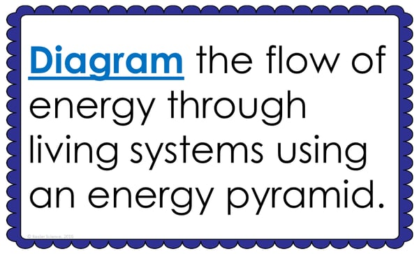 Text reading; “Diagram the flow of energy through living systems using an energy pyramid.”