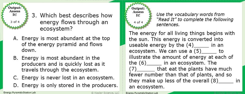 A screenshot of two multiple-choice Assess it! questions. The first asks students "Which best describes how energy flows through an ecosystem?". The second asks students to use vocabulary words from the read it section to complete 5 sentences..