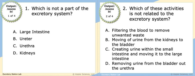 A screenshot of two multiple-choice Assess it! questions. The first asks students "Which is not a part of the excretory system?". The second asks students "Which of these activities is not related to the excretory system?".