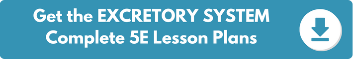 A banner which reads "Get the EXCRETORY SYSTEM Complete 5E Lesson Plans". 