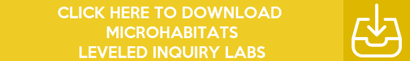 Inquiry-Lab-Banners-7