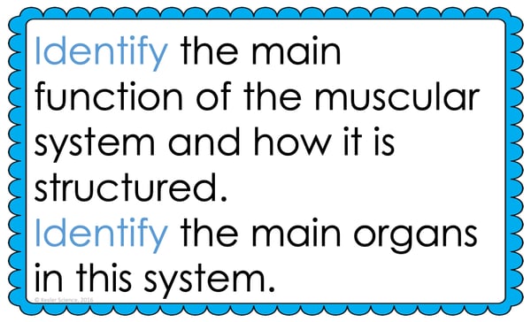 Text reading; “Identify the main function of the muscular system and how it's structured. Identify the main organs in this system.”