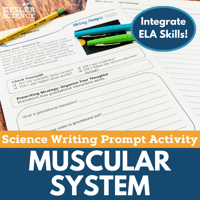 Muscular System Cover-1