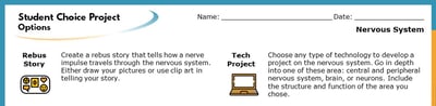 Nervous System Lesson Plan – A Complete 5E Method Science Unit