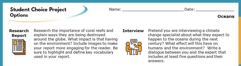 The top section of the Student Choice Project options. The displayed options read "Research Report" and "Interview". Each goes into more detail about how the project will help students learn.