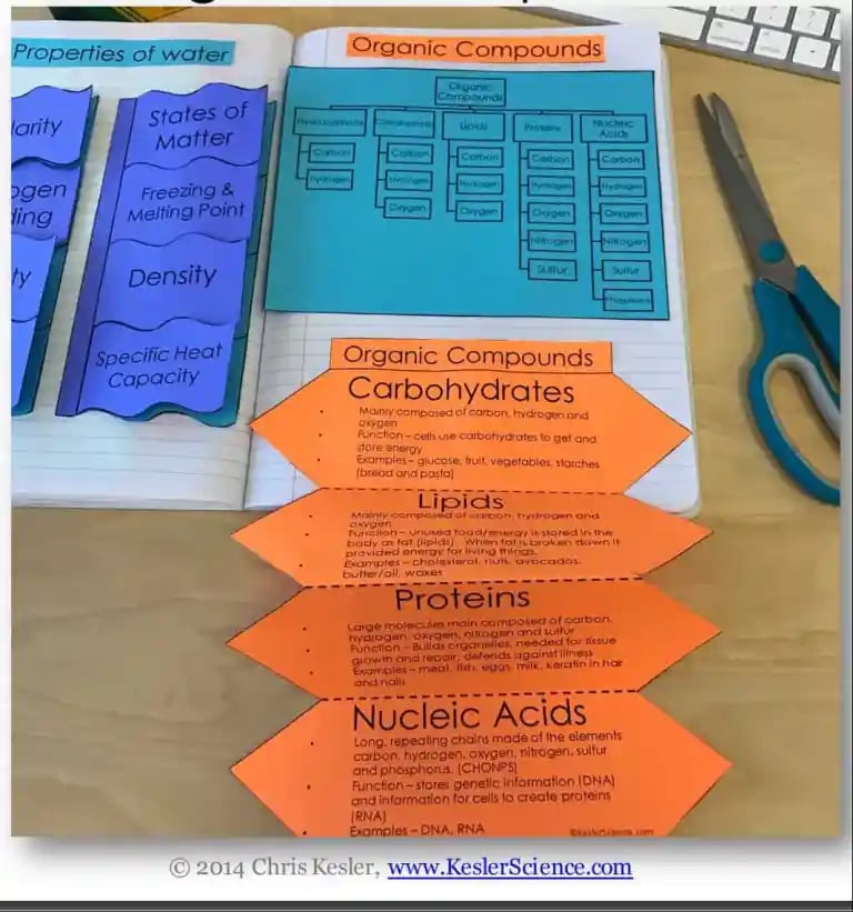 Organic Compounds Lesson Plan – A Complete 5E Method Science Unit