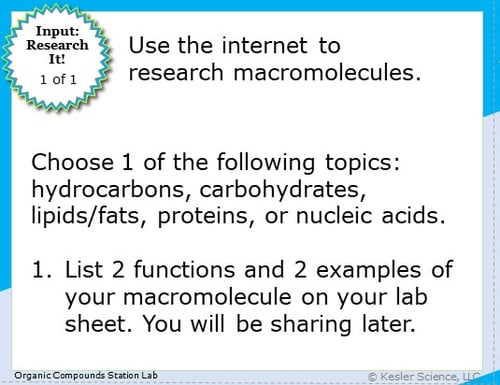 Input: Research It! instructions. Use the internet to research macromolecules. Choose 1 of the following topics: hydocarbons, carbohydrates, lipids/fats, proteins, or nucleic acids. 1. List 2 functions and 2 examples of your macromolecule on your lab sheet. You'll be sharing it later.