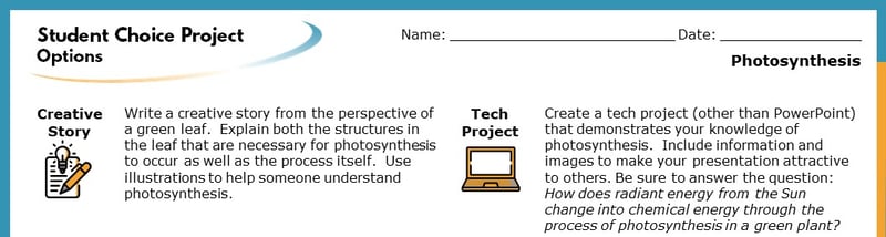 The top section of the Student Choice Project options. The displayed options read "Creative Story" and "()". Each goes into more detail about how the project will help students learn.