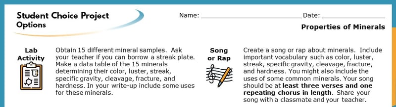 The top section of the Student Choice Project options. The displayed options read "Lab Activity" and "Song or Rap". Each goes into more detail about how the project will help students learn.