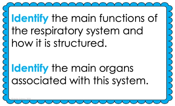 Text reading; “Identify the main functions of the respiratory system and how it is structured. Identify the main organs associated with this system.”