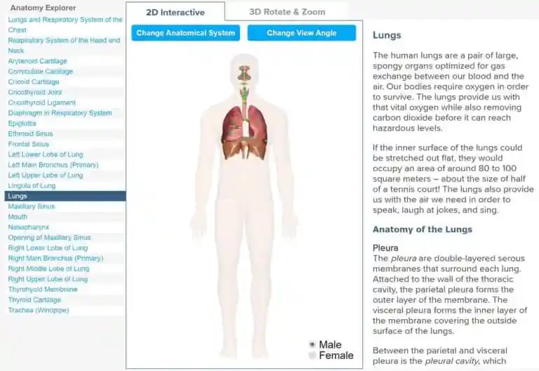 Respiratory System Lesson Plan - A Complete 5E Method Science Unit