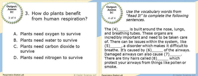 A screenshot of two multiple-choice Assess it! questions. The first asks students "How do plants benefit from human respiration?". The second asks students to use vocabulary words from the Read It section to complete five different sentences.