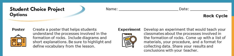 The top section of the Student Choice Project options. The displayed options read "Poster" and "Experiment". Each goes into more detail about how the project will help students learn.