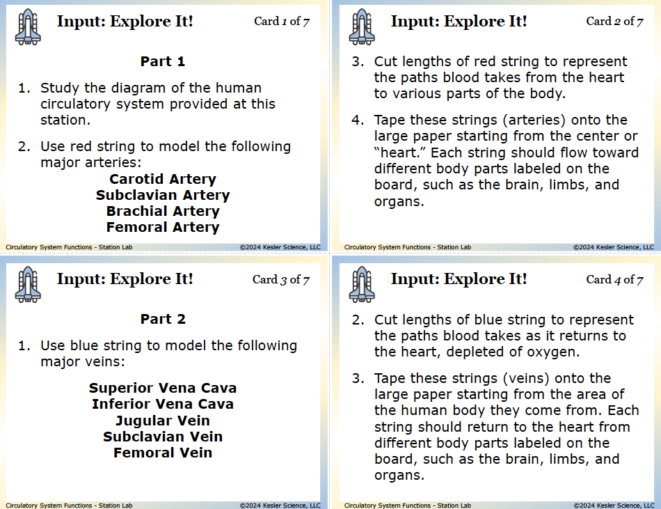 Circulatory System Lab