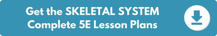 A banner which reads "Get the SKELETAL SYSTEM Complete 5E Lesson Plans". 