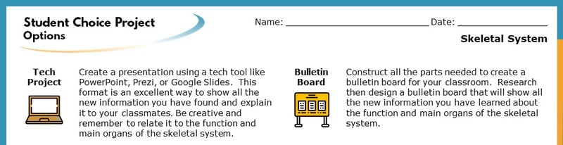 The top section of the Student Choice Project options. The displayed options read "Tech Project" and "Bulletin Board". Each goes into more detail about how the project will help students learn.