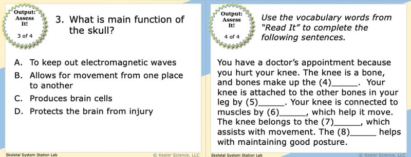 A screenshot of two multiple-choice Assess it! questions. The first asks students "What is the main function of the skull?". The second asks students to use vocabulary words from the Read It section to complete five different sentences..