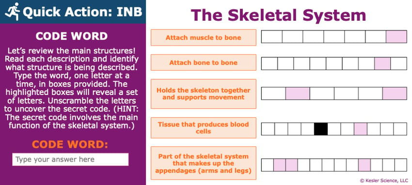 A PowerPoint slide. Its text reads; "Quick Action: INB. CODE WORD. Let's review the main structures of the skeletal system! Read each description and identify what structure is being described. Type the word, one letter at a time, in the provided boxes. The highlighted boxes will reveal a set of letters. Unscramble the letters to uncover the secret code. (HINT: The secret code involves the main function of the skeletal system.)". Below these instructions is a box for students to type in the code word. To the right of all of this is five definitions and the blank, crossword-esque boxes for students to fill in. Certain boxes in these answer spaces are highlighted pink to let them know it's part the word that makes up the codeword.