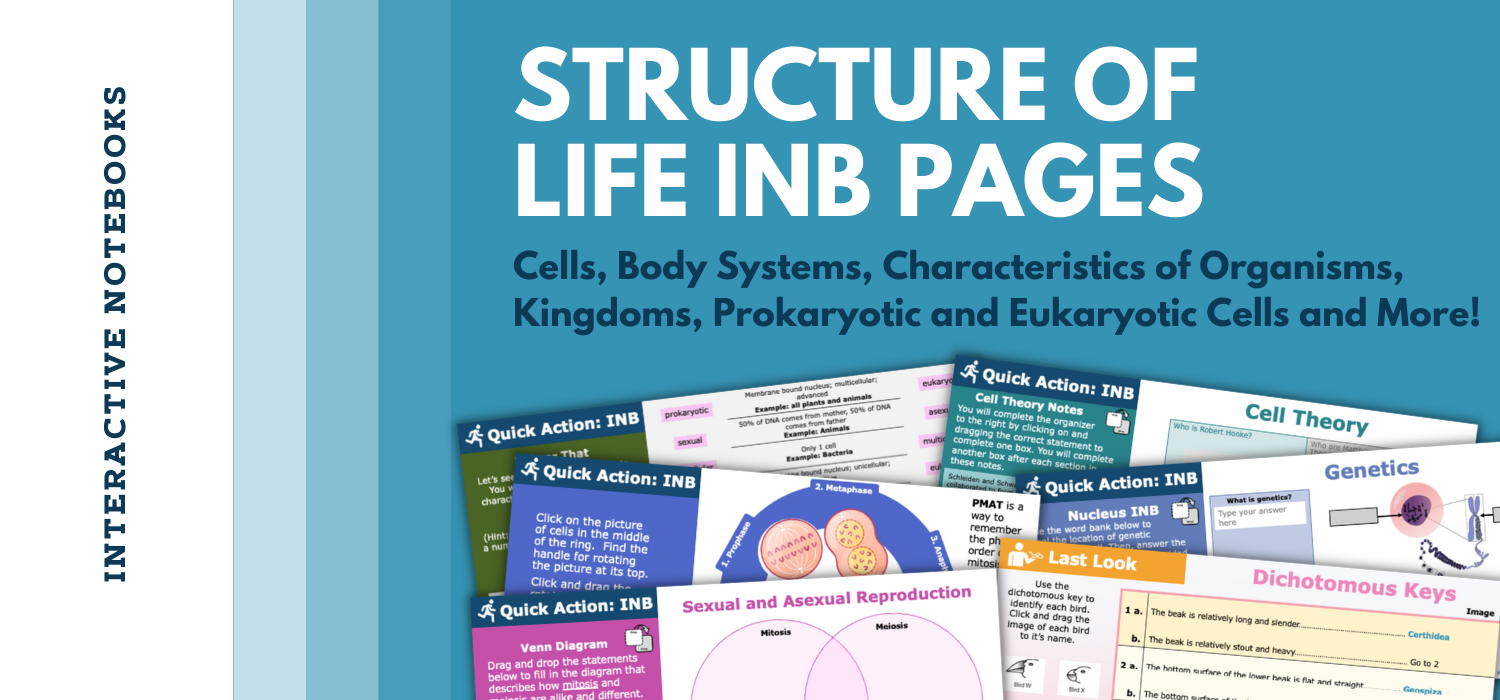 Structure-of-Life-Blog