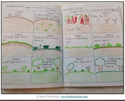 A photo of the paper INB, cut out and glued into two pages of a notebook. This INB consists of two six-panel comics, one per page, which depict different forms of succession as drawn and described by students.