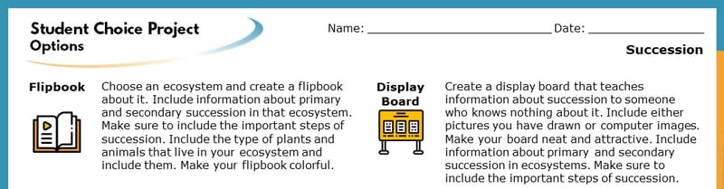 The top section of the Student Choice Project options. The displayed options read "Flipbook" and "Display Board". Each goes into more detail about how the project will help students learn. The top section of the Student Choice Project options. The displayed options read "Flipbook" and "Display Board". Each goes into more detail about how the project will help students learn.