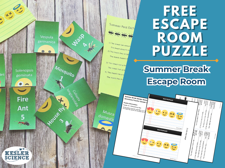 Summer Escape Room CTA and Facebook Meta Freebie Ad Summer Escape Room CTA and Facebook Meta Freebie Ad