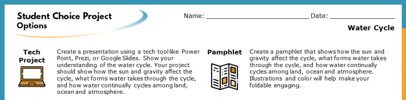 The top section of the Student Choice Project options. The displayed options read "Tech Project" and "Pamphlet". Each goes into more detail about how the project will help students learn.