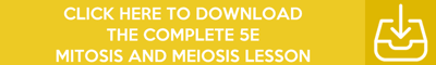 mitosis-and-meiosis-lesson-plan-a-complete-science-lesson-using-the-5e-method-of-instruction-3