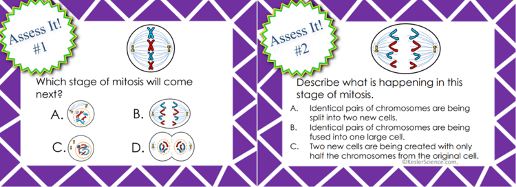 mitosis-and-meiosis-lesson-plan-a-complete-science-lesson-using-the-5e-method-of-instruction-6