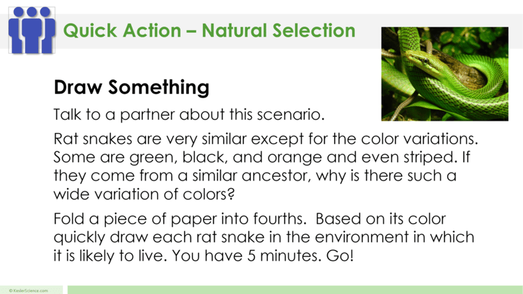natural-selection-lesson-plan-a-complete-science-lesson-using-the-5e-method-of-instruction-10