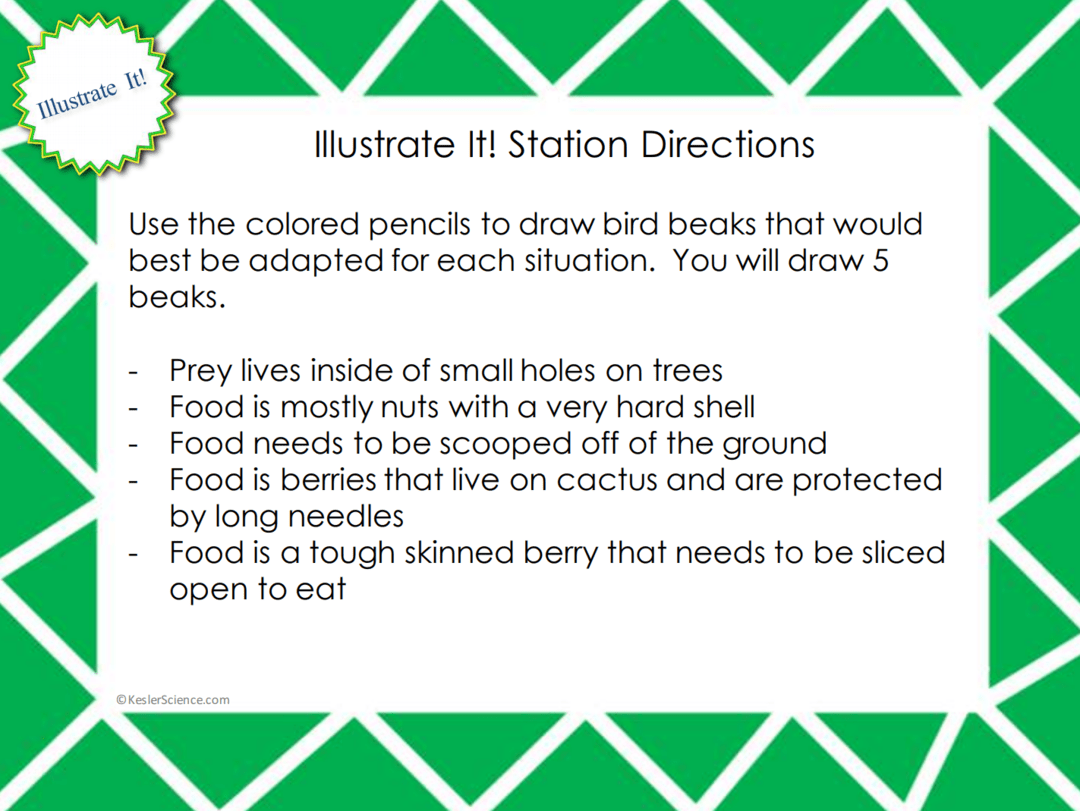NATURAL SELECTION LESSON PLAN – A COMPLETE SCIENCE LESSON USING THE 5E ...