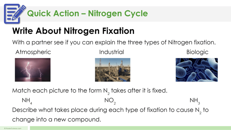 nitrogen-cycle-lesson-plan-a-complete-science-lesson-using-the-5e-method-of-instruction-10