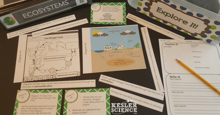 nitrogen-cycle-lesson-plan-a-complete-science-lesson-using-the-5e-method-of-instruction-4