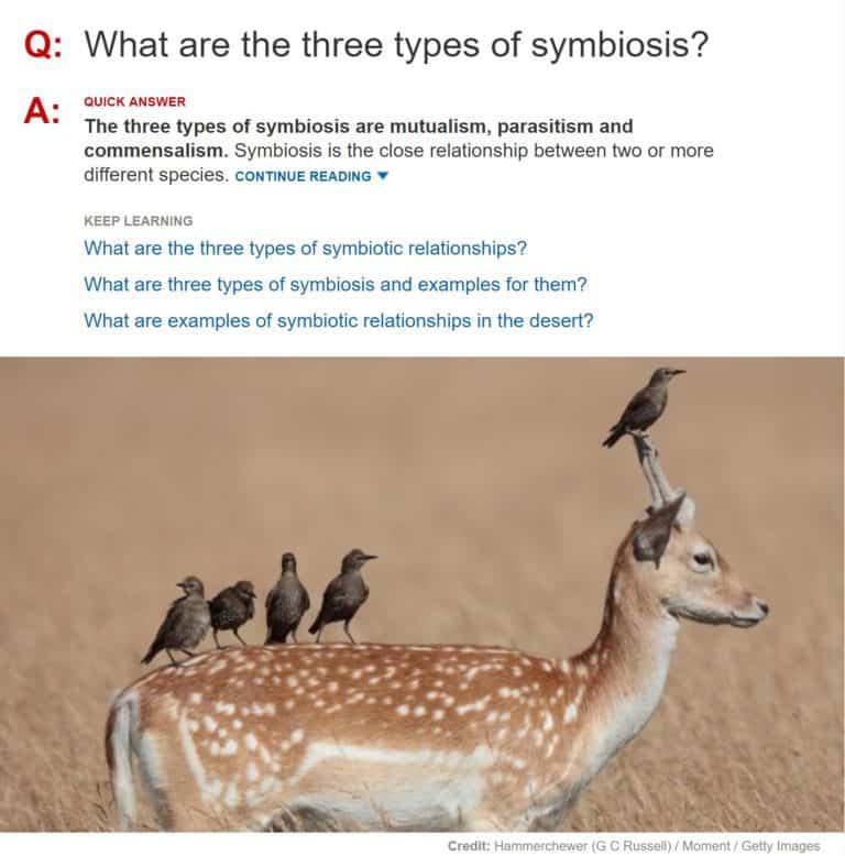 commensalism examples of animals