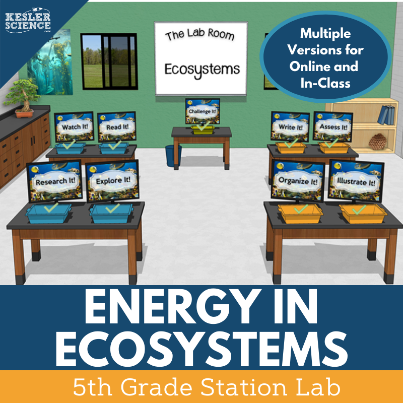5th 5E SL Cover Energy in Ecosystems