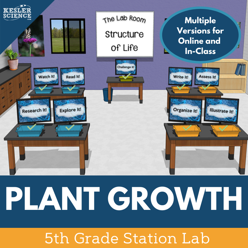 5th 5E SL Cover Plant Growth