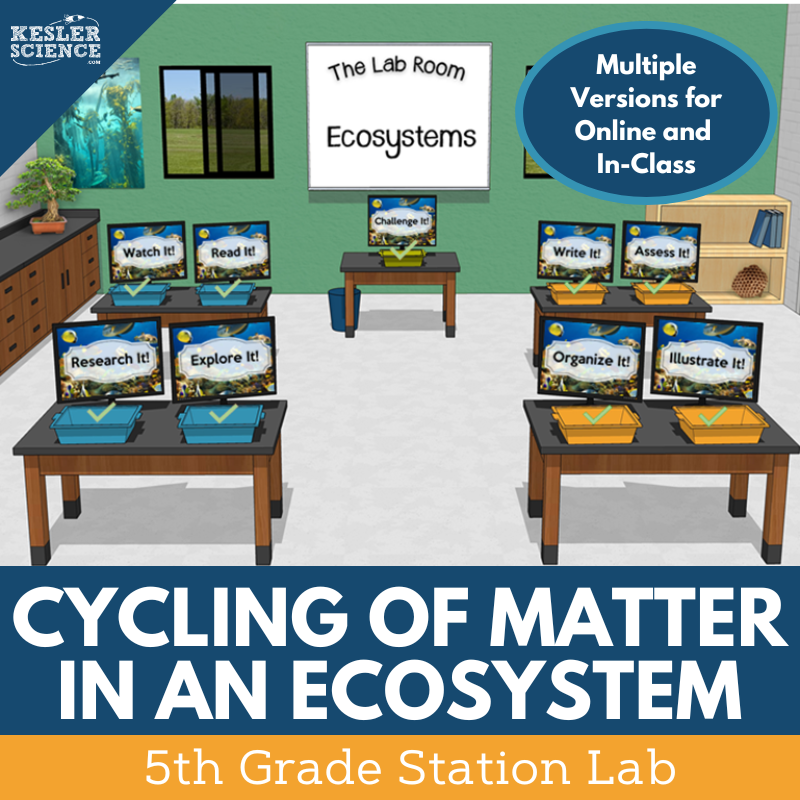 5th Gr Station Lab CyclingMatterEcosys Individual