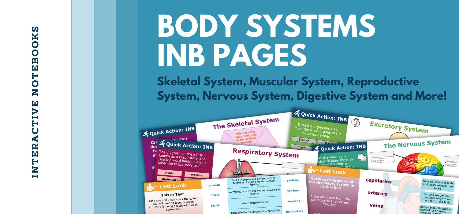 Body Sytems Digital INB Blog