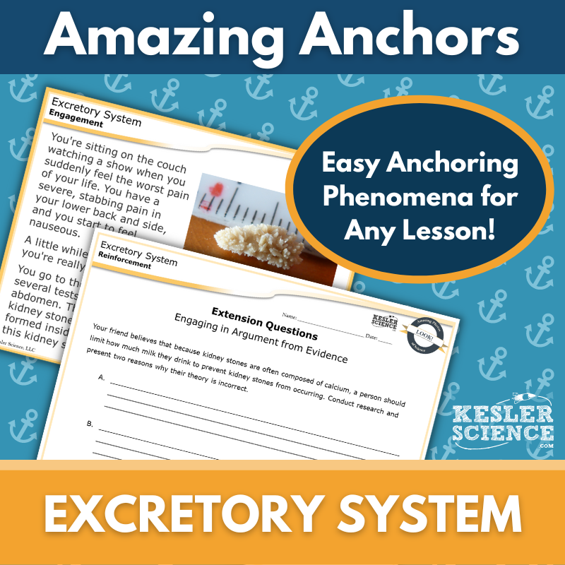 Cover - Excretory-1
