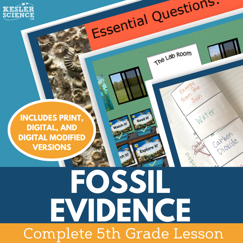Cover - Fossil Evidence  G5 Full-1