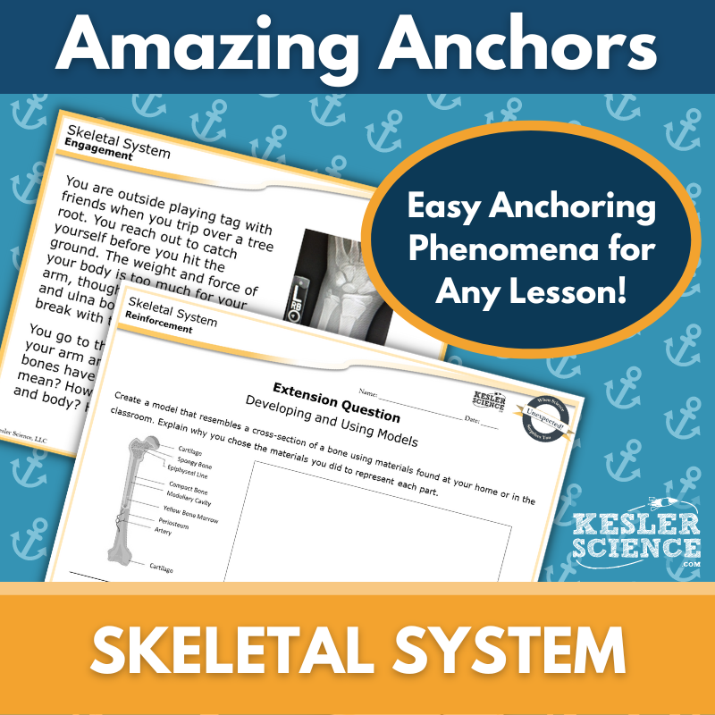 Cover - Skeletal-1